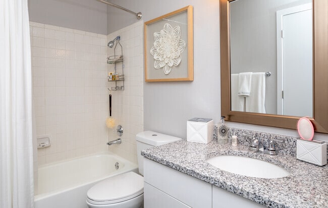 1BR, 1BA -640 SF - Volterra Apartments