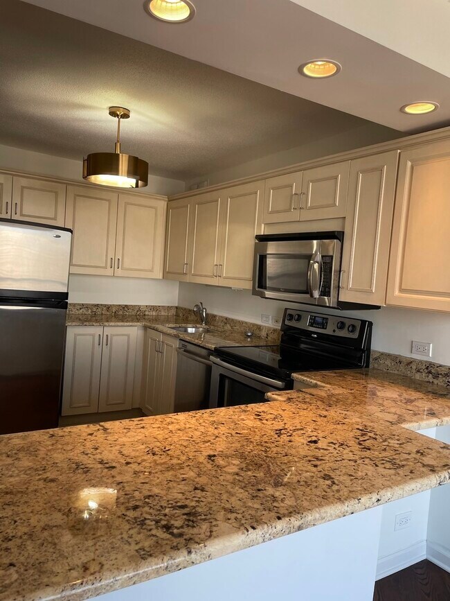 405 N Wabash Ave Unit 4101, Chicago, IL 60611 Condo for Rent in