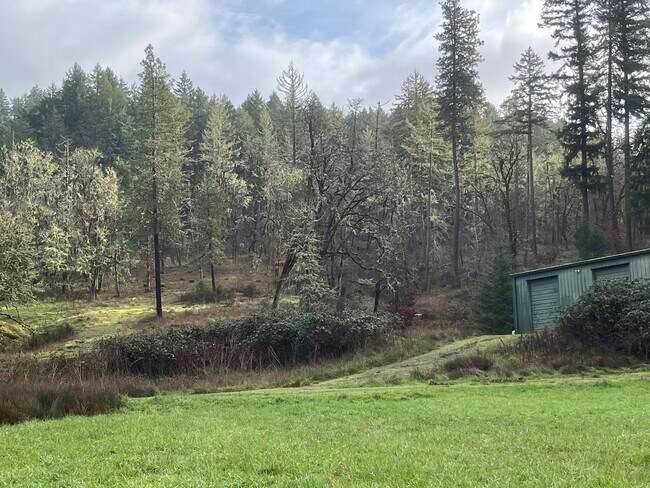 Foto del edificio - 84693 Sarvis Berry Ln