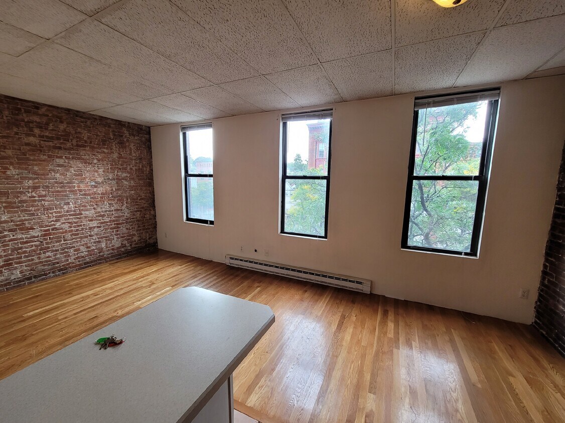 Sun Splashed Livingroom - 219 Washington St