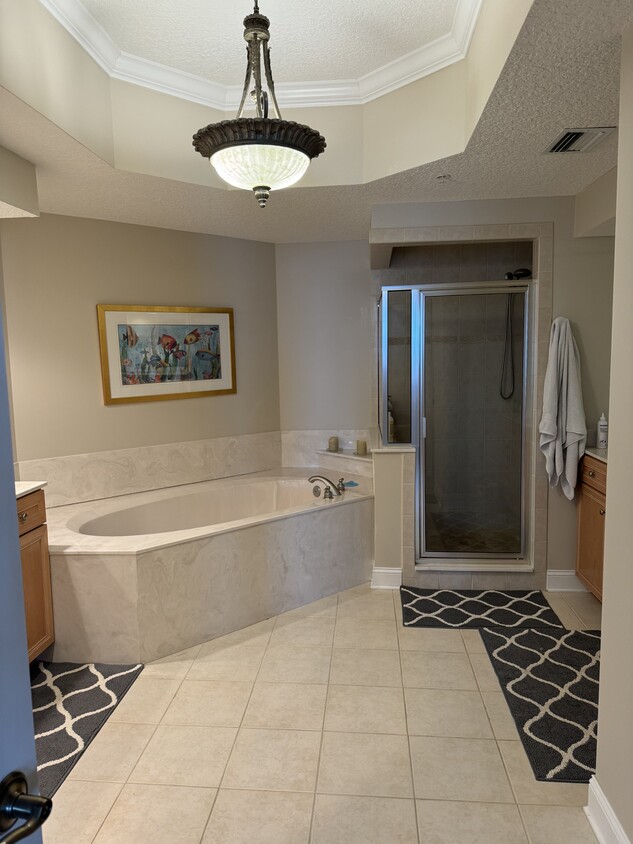 Master bath - 230 N Serenata Dr