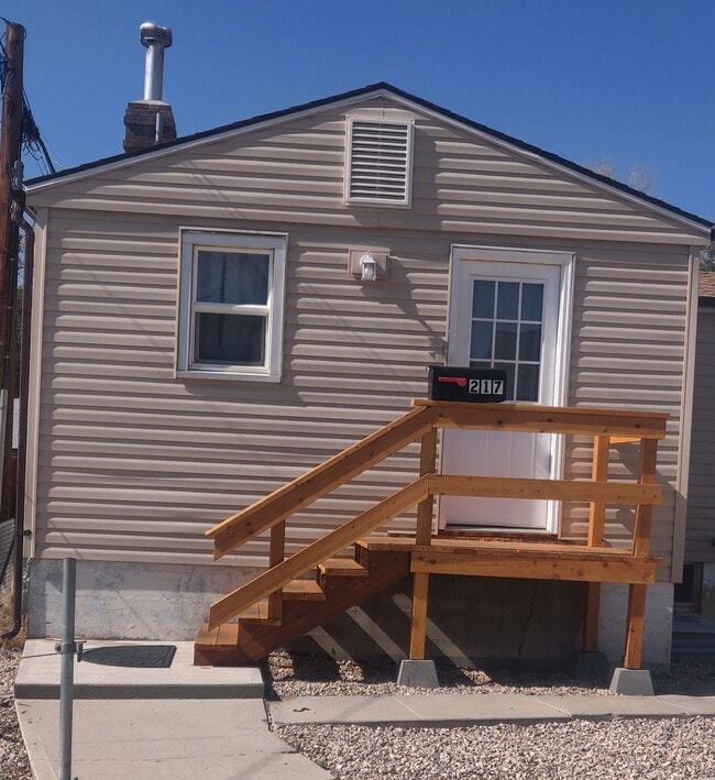 Front Entrance - 217 McClellan St