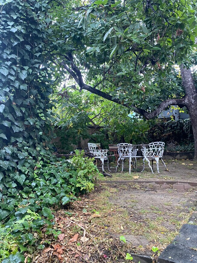 Vista de la cubierta trasera - 1150 Sanborn Ave. Apt C