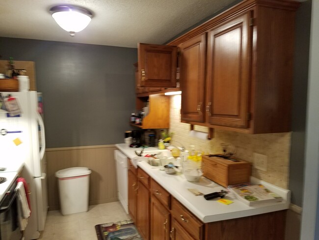 Kitchen - 135 Viking Dr E