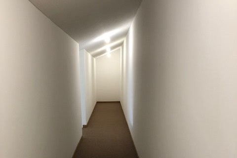 hallway storage - 1239 Leon Way