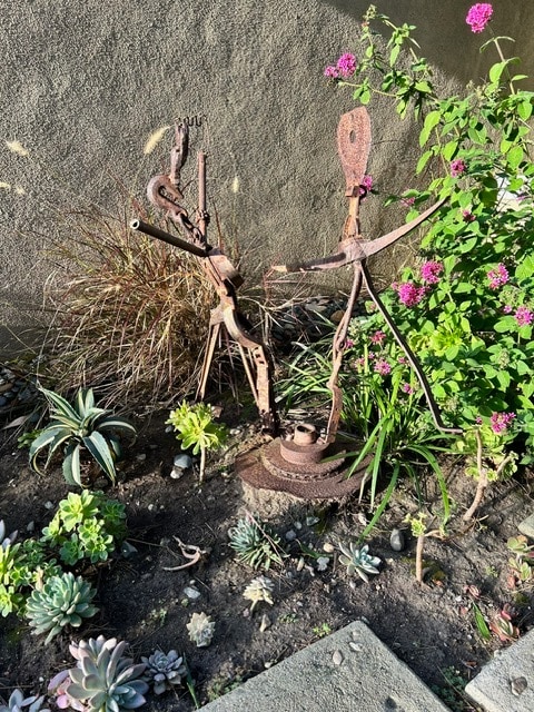 Front Yard - 3470 Tilden Ave