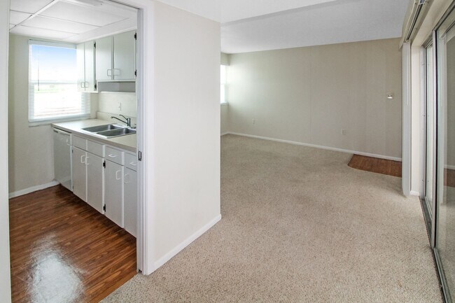Foto del edificio - Annual Beachfront Condo at Venice Sands