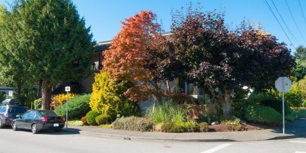 Building Photo - 1285 Martin St