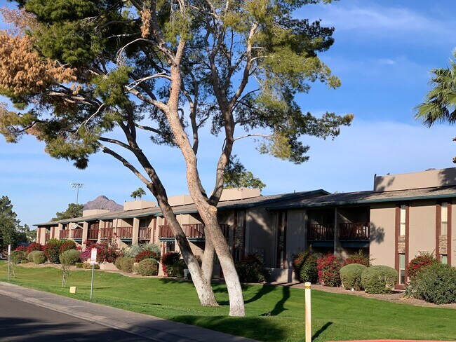 Attention Winter Visitors!, College Students!, Young Professionals! Live in the HEART of Scottsdale - 4354 N 82nd St