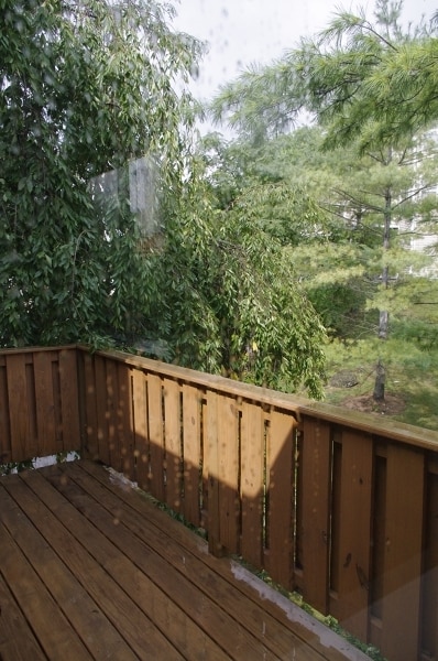 Building Photo - 46 Falcon Ridge Way N