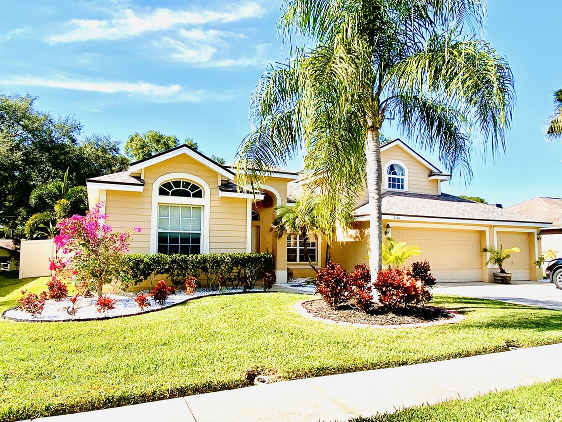 2584 Saddlewood Ln, Palm Harbor, FL 34685 House for Rent in Palm