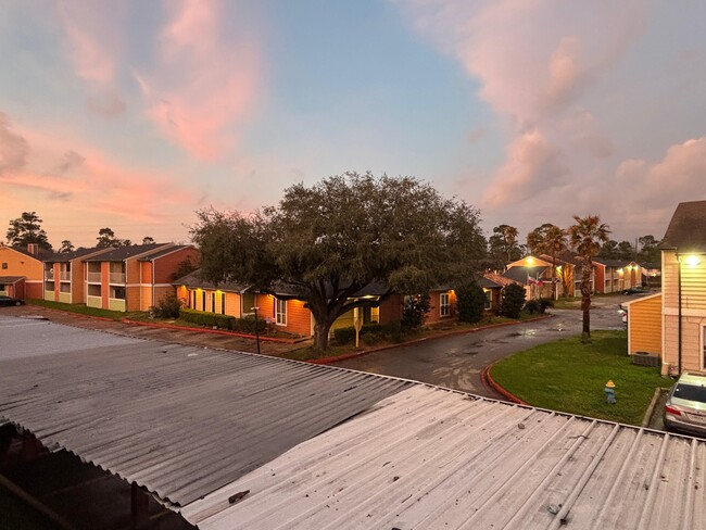 Foto del edificio - The Palms at Cypress Station