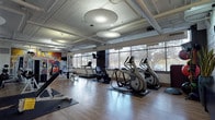 This single-floor fitness center at 5455 N Marginal Rd in Cleveland, Ohio, offers a thoughtfully designed workout environment that balances functionality with aesthetic appeal. The open layout provides generous floor space, with warm hardwood-style flooring running throughout, creating a clean and inviting atmosphere.

The cardio zone is lined along a wall of large windows that flood the space with natural light and offer outdoor views, housing multiple treadmills, elliptical machines, and other aerobic equipment. The strength training area is well-appointed with a cable machine system, a multi-station weight rack, and a dedicated free weights section complete with a full dumbbell rack. Floor-to-ceiling mirrors along one wall visually expand the space and support proper form during workouts.

A functional training corner provides stability balls, medicine balls, and resistance bands neatly organized on dedicated racks, accompanied by a mounted flat-screen television set against a textured, wave-paneled accent wall. The same distinctive wave-panel design is echoed near the entrance, lending a cohesive and modern architectural touch throughout the facility.

Adding a dynamic visual element, bold and colorful murals adorn the rear walls, energizing the space with artistic expression. Exposed industrial ceilings with overhead pipes and large disc pendant lights contribute to the facility's modern, urban character. The overall ambiance is bright, motivating, and professionally curated for a comprehensive fitness experience.