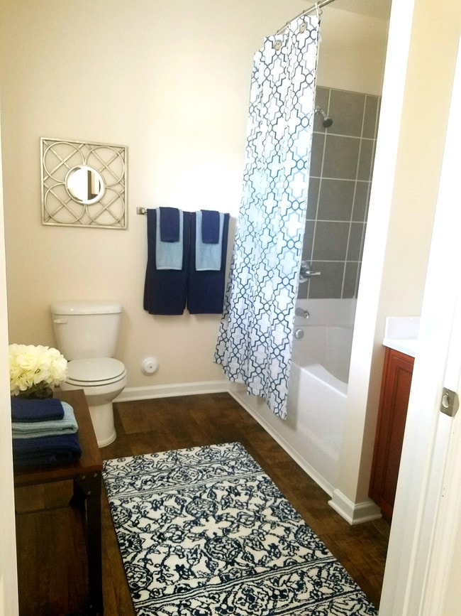 2 Bed - Master Bath - Palisades at the Park