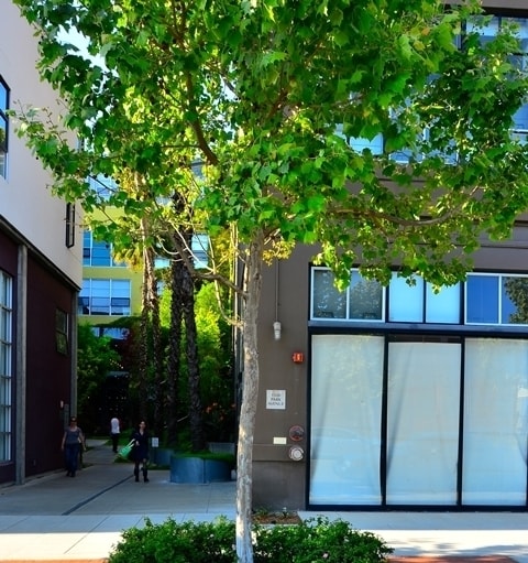 Foto del edificio - Highly sought after live/work space for le...