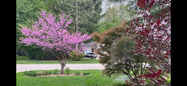 Building Photo - 13371 Greenbriar Dr