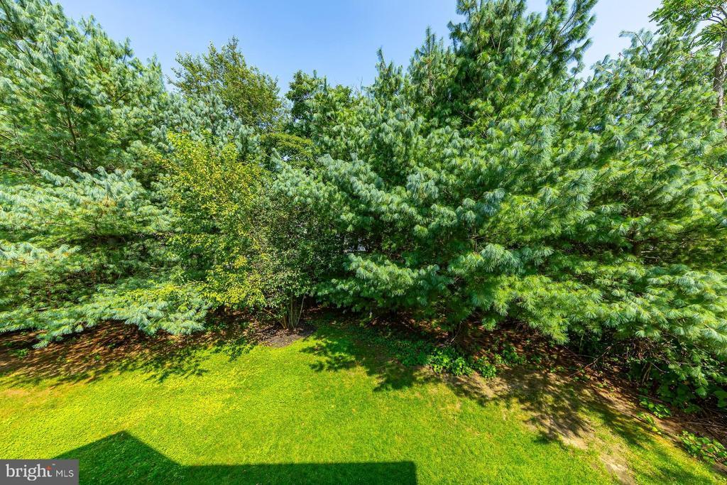 Foto principal - 512 Sunflower Way