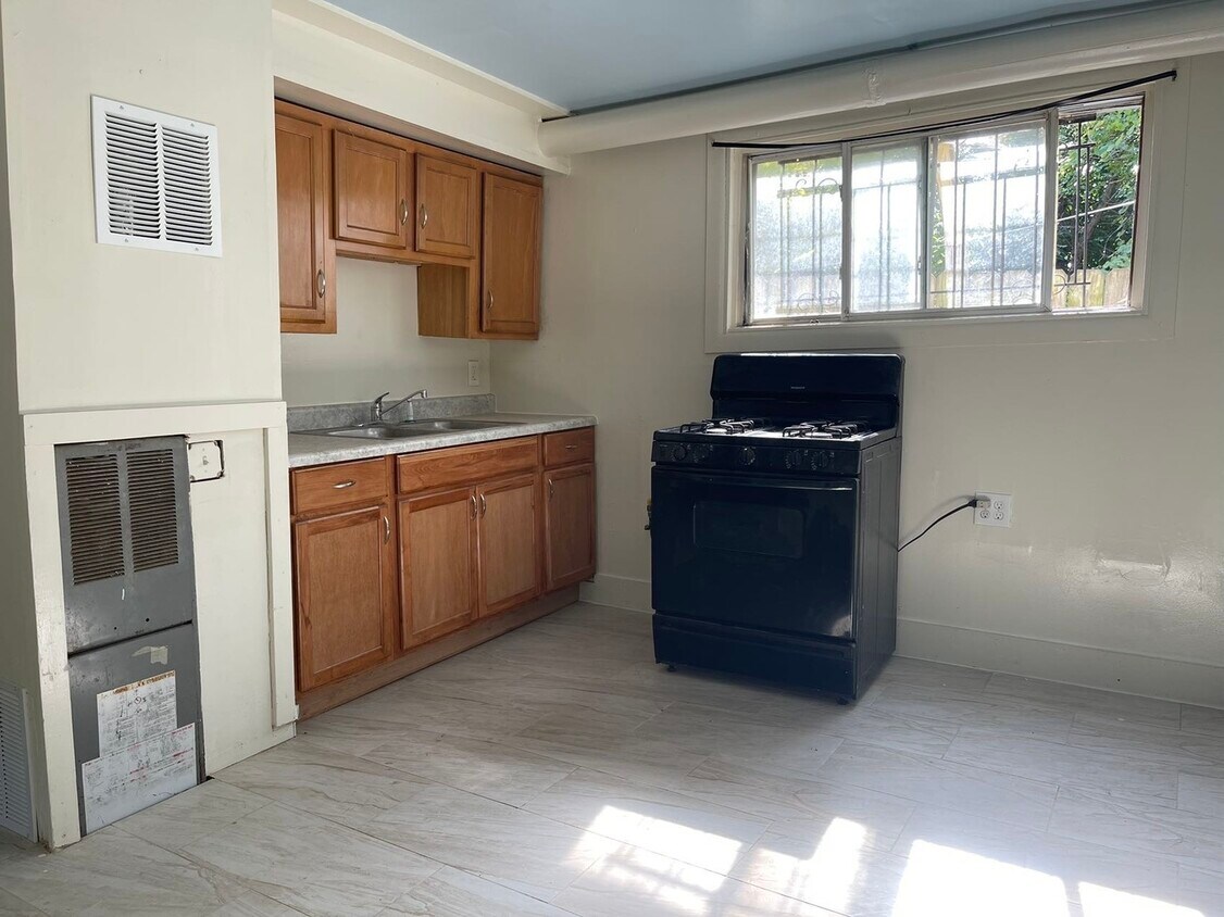 5329 S Paulina St Unit 1R, Chicago, IL 60609 Condo for Rent in