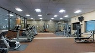 This fitness center offers a comprehensive workout environment designed to accommodate a range of exercise needs. The space is defined by its exposed stone accent walls, which lend a distinctive, grounded aesthetic to the room, contrasting with the modern equipment throughout. A drop-panel ceiling fitted with recessed fluorescent lighting ensures the space is evenly and brightly illuminated.

The cardio zone features a row of treadmills and elliptical trainers aligned along one side of the room, all positioned on rubber flooring that provides cushioning and durability. On the opposite side, a multi-station cable and weight machine setup offers a variety of strength training options, complemented by additional free-standing equipment. Rubber floor mats are placed beneath equipment stations to protect the flooring and provide stability.

Large mirrors line the walls, enhancing the sense of openness and allowing users to monitor their form during workouts. The overall layout is thoughtfully organized, providing clear separation between cardio and strength training areas while maintaining an open, accessible feel throughout the space.