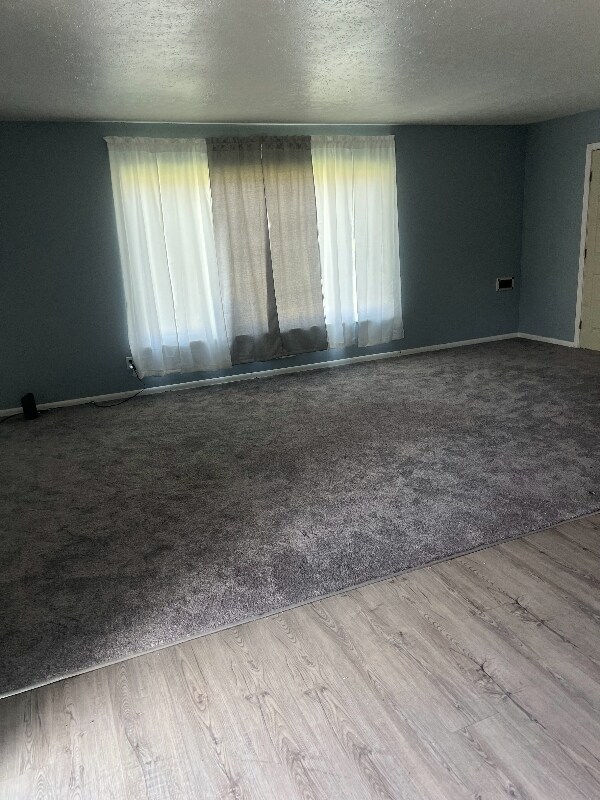 Foto del edificio - 7903 Ackley Rd