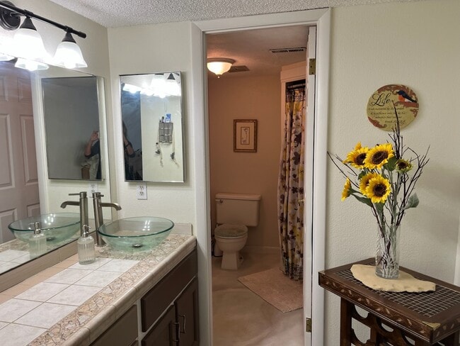 Master Bath Suite - 4619 S Quail Vista Ln