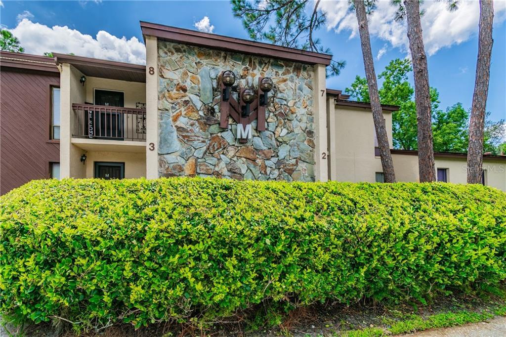 1200 Tarpon Woods Blvd Unit M1, Palm Harbor, FL 34685 Condo for Rent