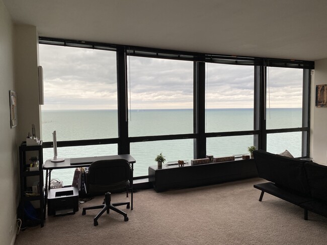 Foto del edificio - 900 N Lake Shore Dr