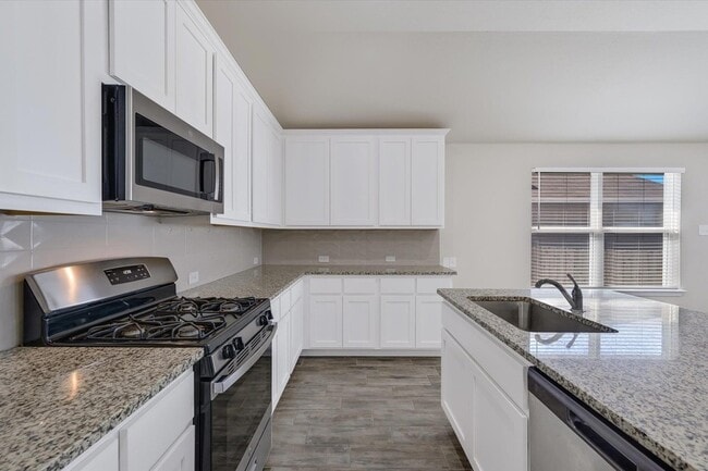 Building Photo - 201 Spiny Lizard Ln