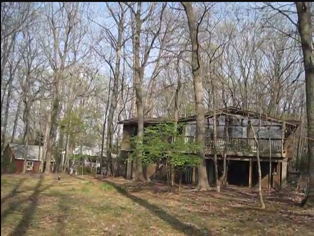 Lawn View from Back Side - 1642 Besley Rd