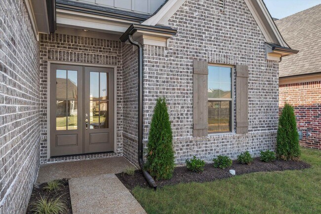 Foto del edificio - 90 Downy Birch Cv