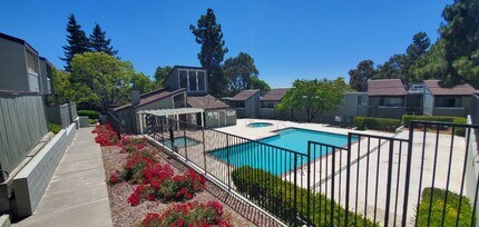 Building Photo - 1333 N Camino Alto