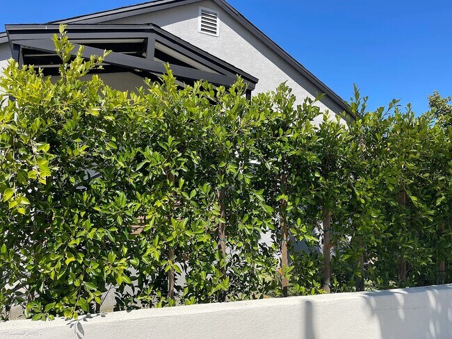 Foto del edificio - 4216 Sawtelle Blvd