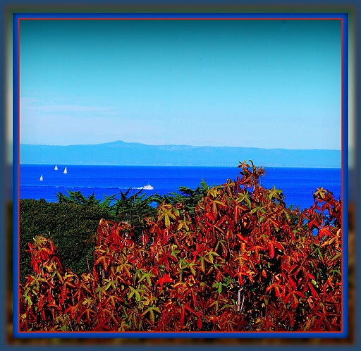 Vista desde la unidad triplex - 137 4th St