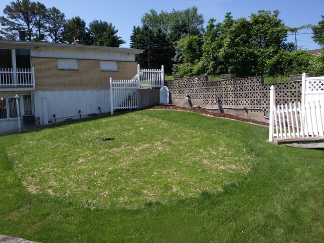 Backyard - 275 Lincoln Hall Rd