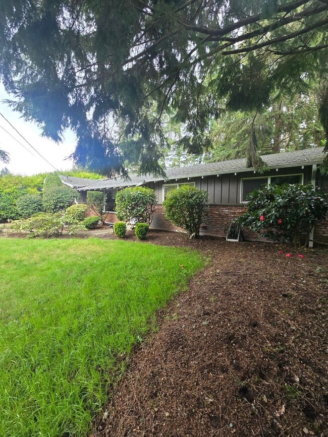 Building Photo - Beautiful 3 bedroom on large lot.