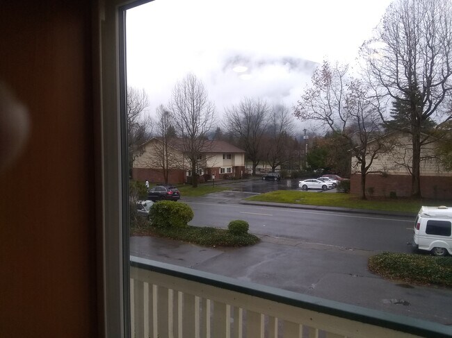 View today of Mt Si - 424 Healy Ave S