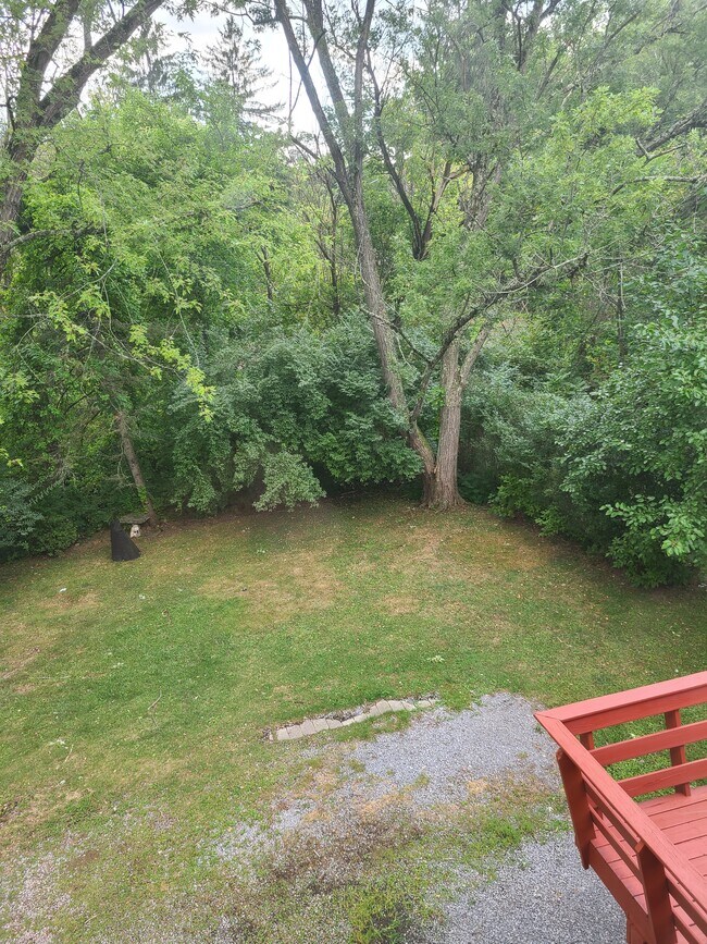 Back Yard - 965 McNeilly Rd