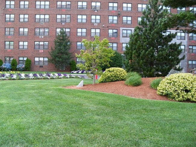 Foto del edificio - 364 Rindge Ave