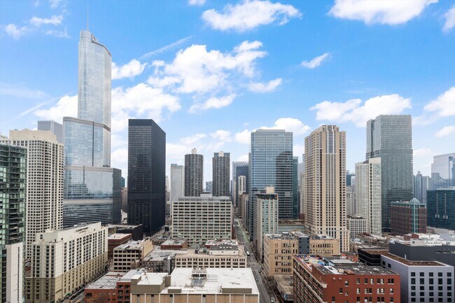 Building Photo - 545 N Dearborn St
