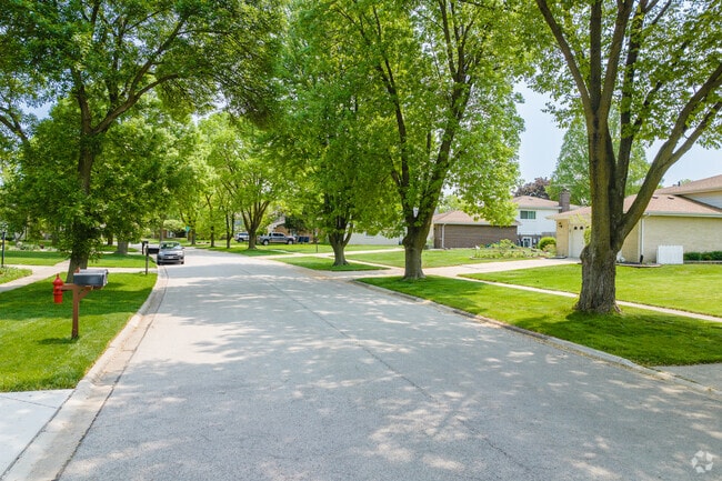 South Grove streets are spacious and lined with mature trees.