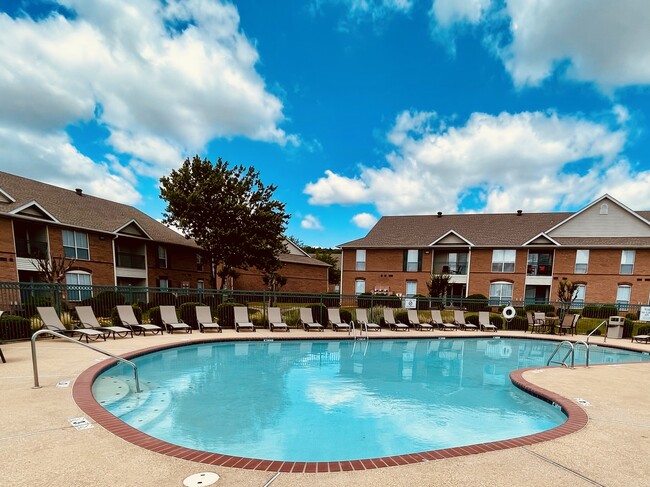 Piscina - The Ridge at Meadowlake