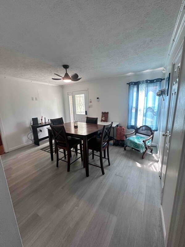 Foto del edificio - 5609 White Oak Dr