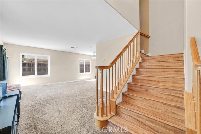 Building Photo - 4605 Oak Tree Way