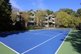 This outdoor tennis court offers a full regulation playing surface finished in a classic blue and green color scheme, with crisp white court lines clearly marked throughout. A sturdy net is mounted at the center of the court, ready for play. The court is fully enclosed by a dark chain-link fence, which is densely lined with mature climbing foliage, creating a natural green border that provides both privacy and a visually appealing backdrop. Court-side lighting poles are positioned to support evening play. The surrounding landscape is rich with mature deciduous trees that frame the space beautifully, with their canopies providing dappled shade along the perimeter. A multi-story residential building with balconies and brick detailing is visible beyond the treeline, situating the court within a larger community setting. The overall ambiance is open and airy, bathed in natural light under a bright blue sky. The combination of the well-kept playing surface, lush greenery, and thoughtful enclosure makes this tennis court a functional and attractive recreational amenity.