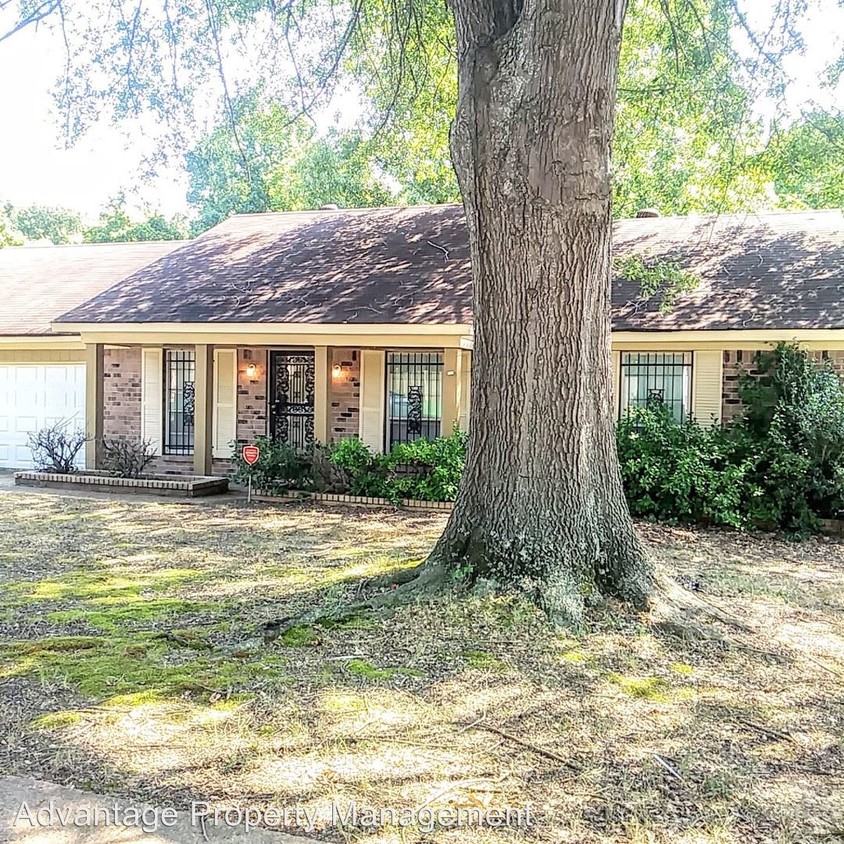 Primary Photo - 3 br, 1.5 bath House - 3122 Spring Hill Dr.