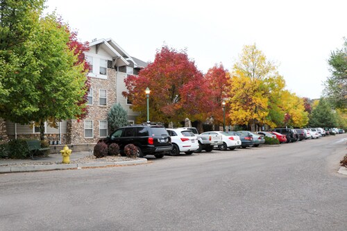 Árboles adultos - Campus West Lofts on City Park