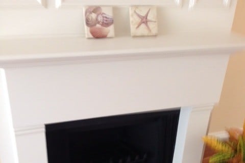 fireplace in living room - 633 13th St