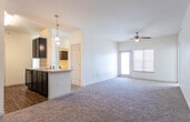 Located at 1509 Wayside Dr in Midland, Texas, this single-story residence offers a well-organized, open-concept layout designed for comfortable everyday living. The living area is generously sized, featuring plush wall-to-wall carpeting and a ceiling fan overhead. Natural light filters in through a set of glass doors that open to the exterior, enhancing the bright and airy atmosphere of the space.

The kitchen flows seamlessly from the living area and is defined by striking dark cabinetry that extends from floor to ceiling, providing ample storage. A breakfast bar peninsula separates the kitchen from the living space and is complemented by pendant lighting above. The kitchen is equipped with black appliances, including a refrigerator, electric range, and over-the-range microwave, all set against light countertops and wood-look flooring.

Multiple bedrooms are carpeted and receive natural light through large windows fitted with blinds, offering a comfortable and versatile layout. The bathrooms feature tile flooring, dark vanity cabinetry with light countertops, and wall-mounted mirrors. One bathroom includes an adjacent walk-in closet with wire shelving, adding practical storage to the space. Throughout, the neutral color palette and consistent design elements create a cohesive and functional living environment.