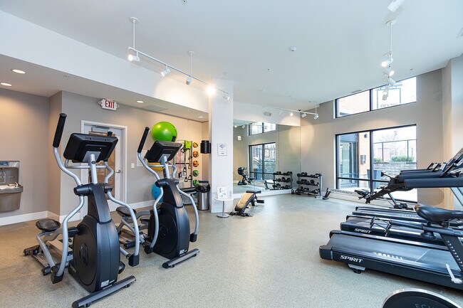 Gimnasio - The Dexter