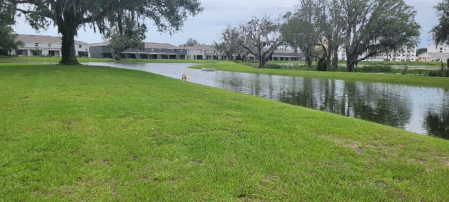 Foto del edificio - 5334 Loblolly Ln